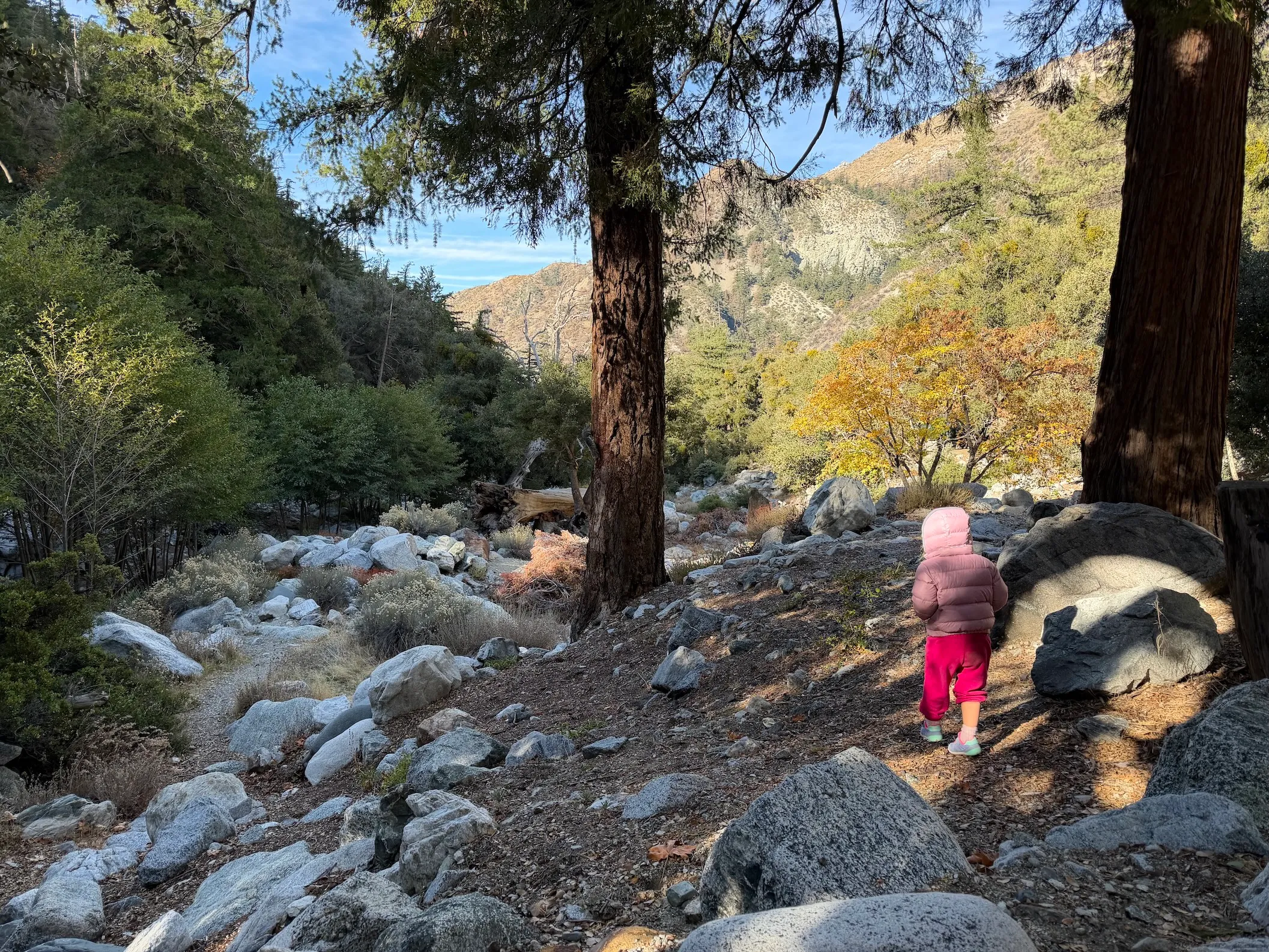 Ice House Canyon Trail | October 20, 2025 Ice House Canyon Trail